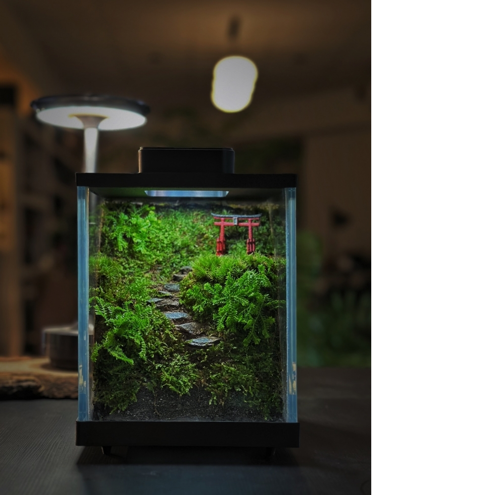 生態缸造景 A款